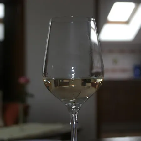 Apartmán Haus Magnolia *