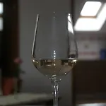 Apartamento Haus Magnolia *
